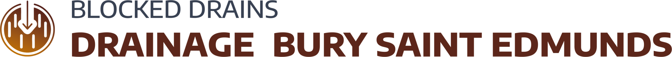 website logo